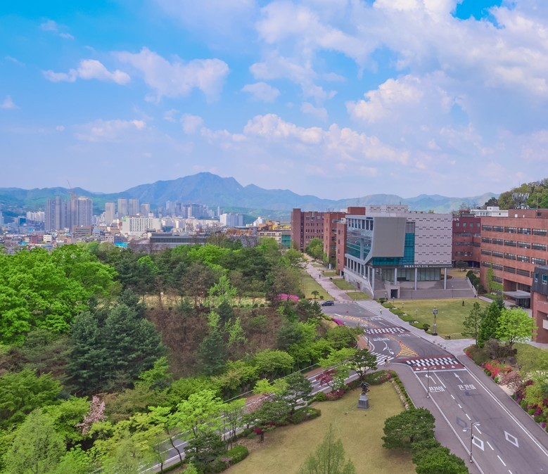 카드 배경 2번