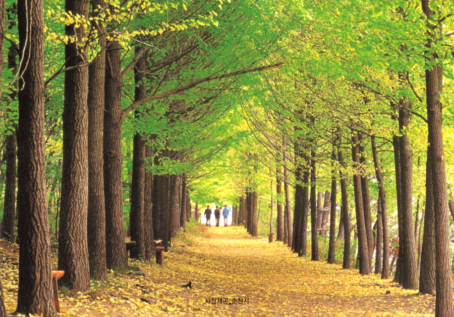 Nami Island